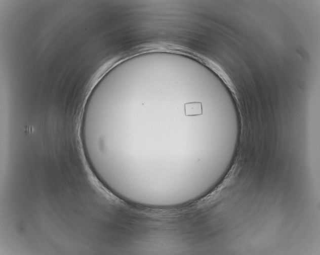 X0000111240946200907020956