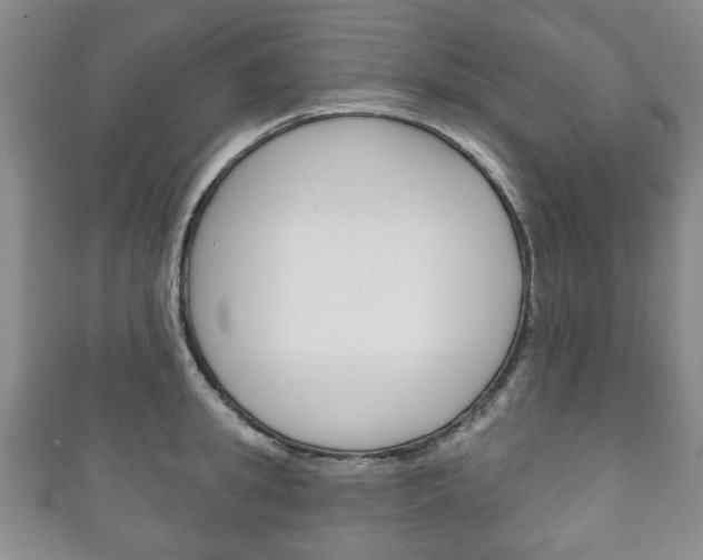 X0000111240949200907020956