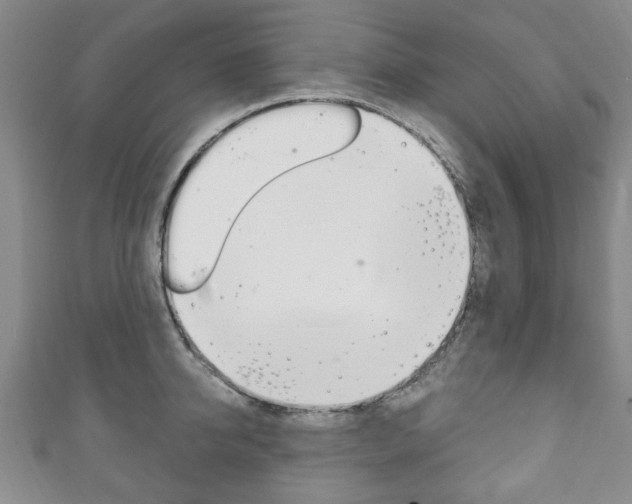 X0000111240950200907020956