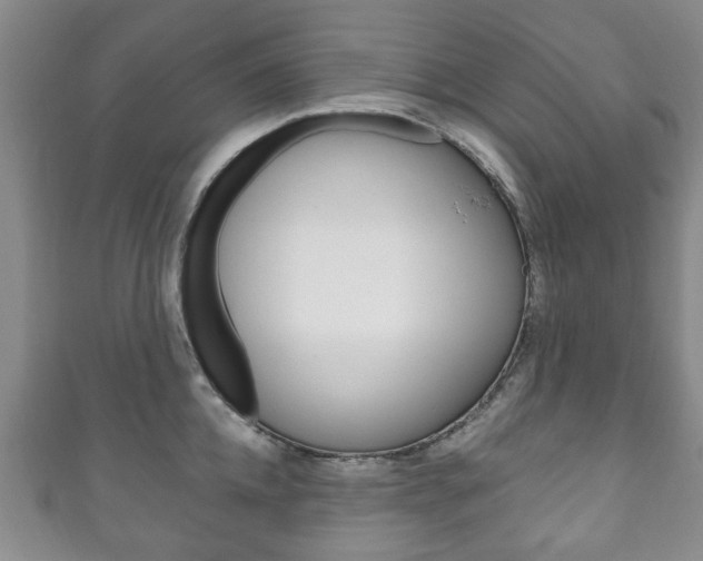 X0000111240952200907020956