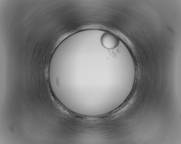 X0000111240953200907020956