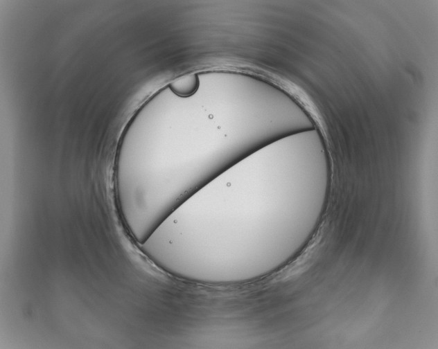 X0000111240954200907020956