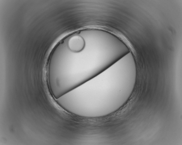 X0000111240955200907020956