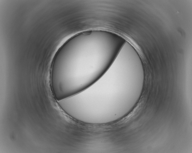 X0000111240956200907020956