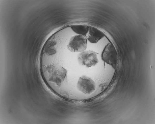 X0000111240957200907020956