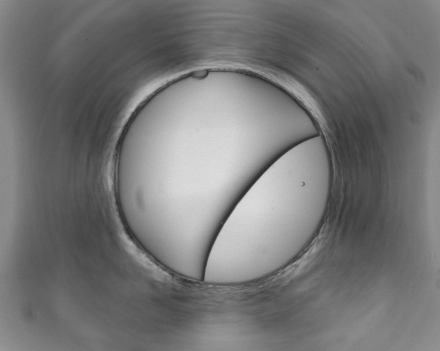 X0000111240958200907020956