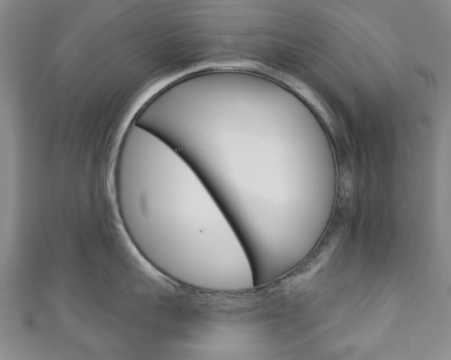 X0000111240959200907020956