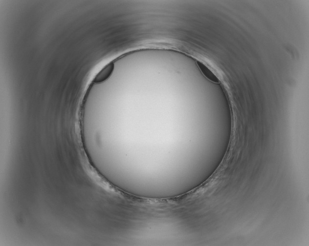 X0000111240960200907020956