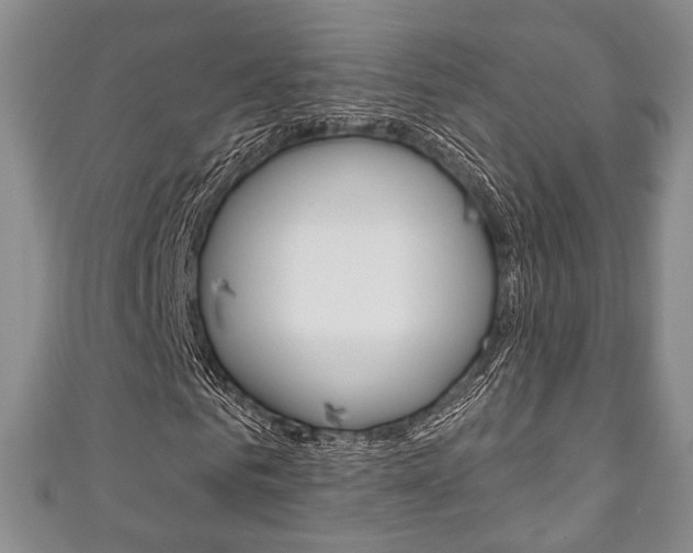 X0000111240961200907020955