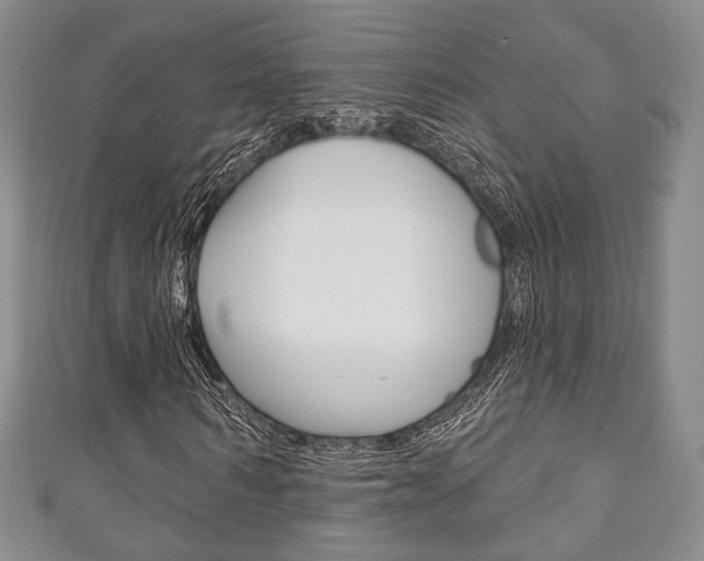 X0000111240962200907020955