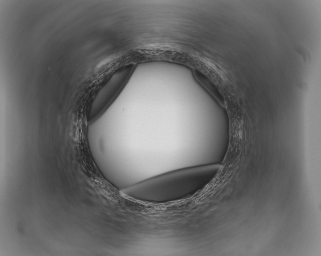 X0000111240965200907020955
