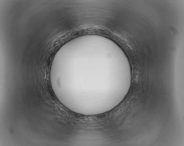 X0000111240966200907020955