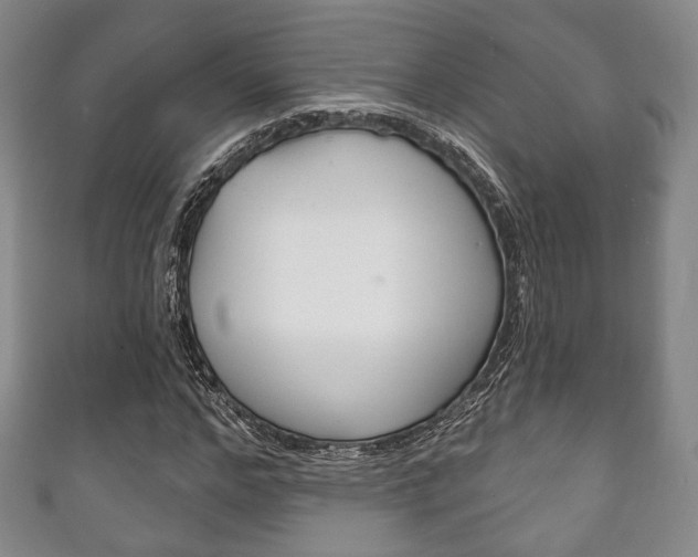 X0000111240968200907020955