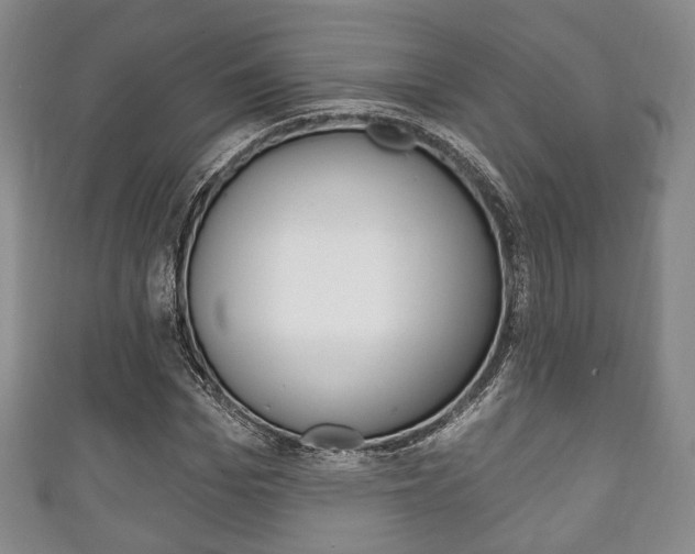 X0000111240969200907020955