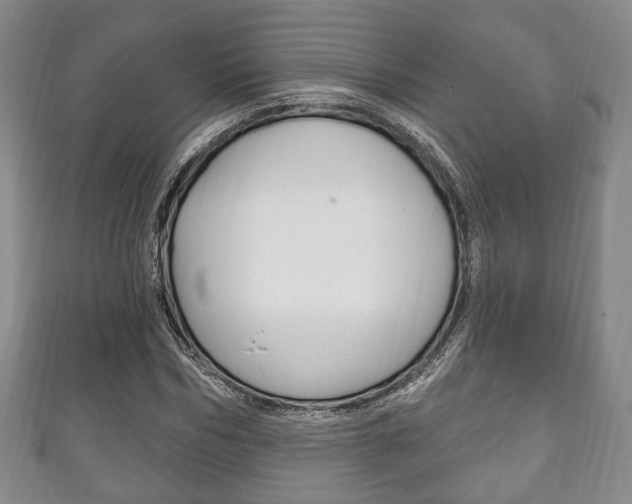 X0000111240970200907020955