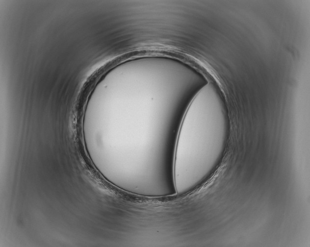 X0000111240971200907020955