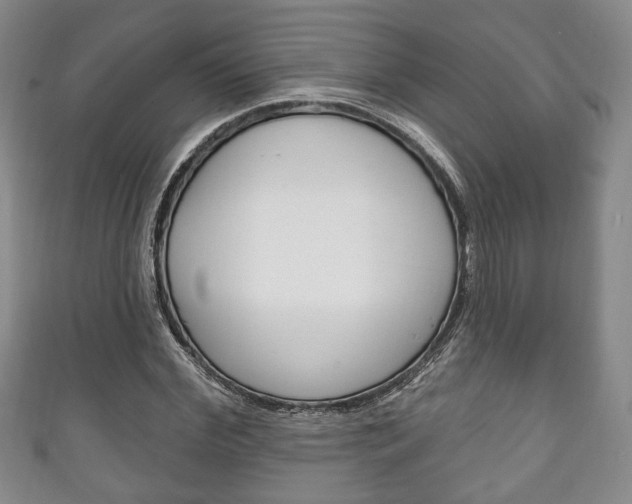 X0000111240972200907020955