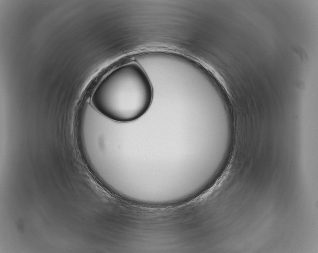 X0000111240973200907020955