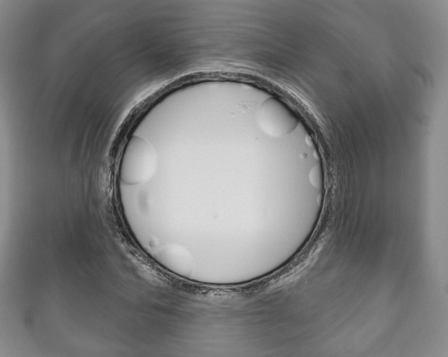 X0000111240974200907020955