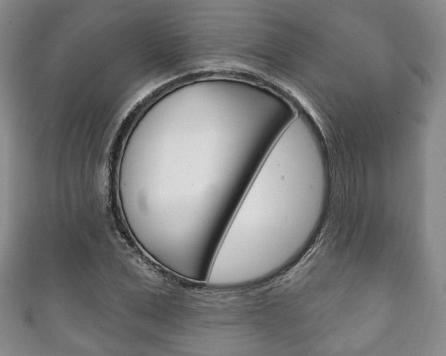 X0000111240975200907020955