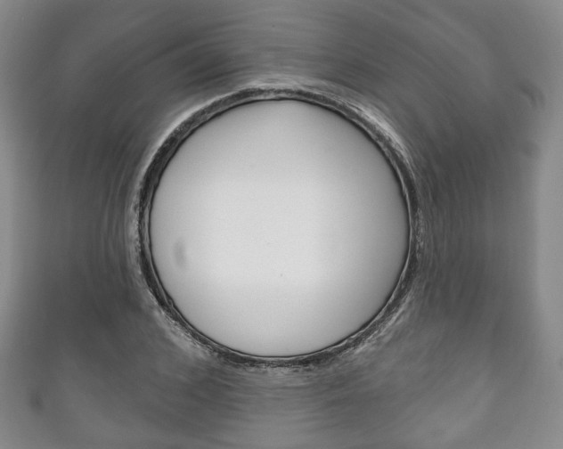 X0000111240976200907020955
