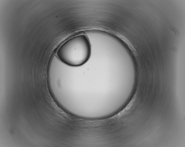 X0000111240977200907020955