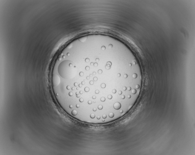 X0000111240978200907020955