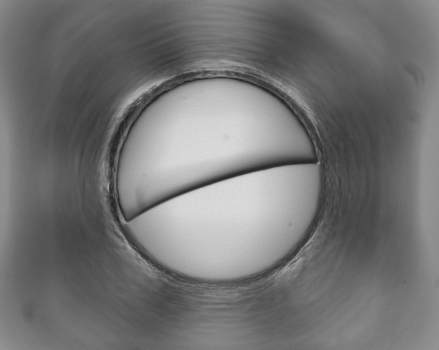 X0000111240979200907020955