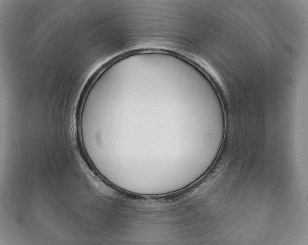 X0000111240980200907020955