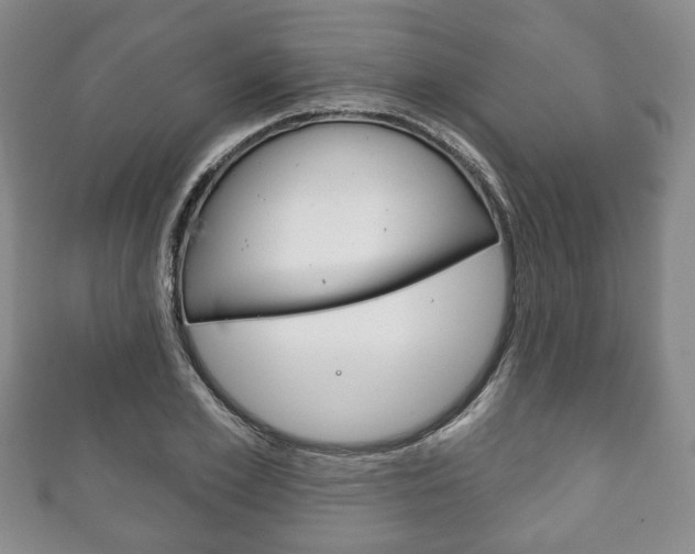 X0000111240981200907020955