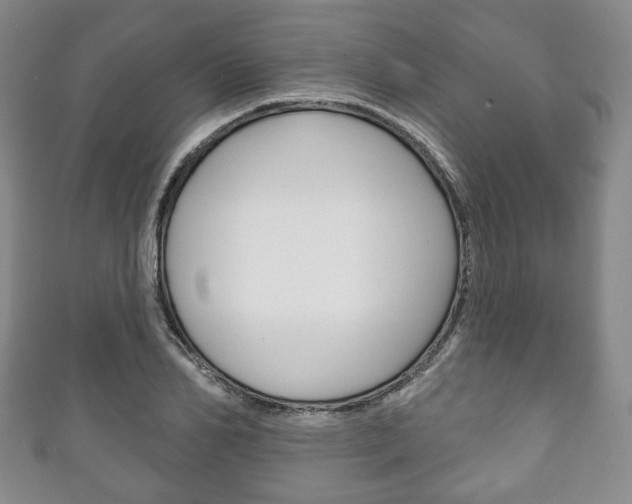 X0000111240982200907020955