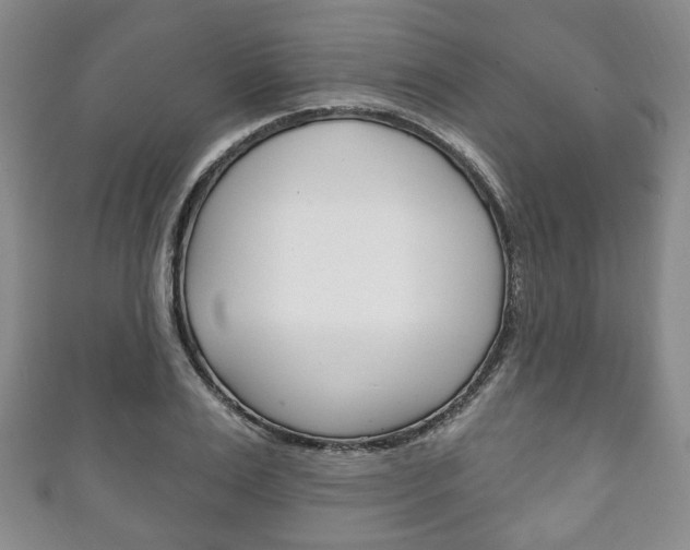 X0000111240983200907020955