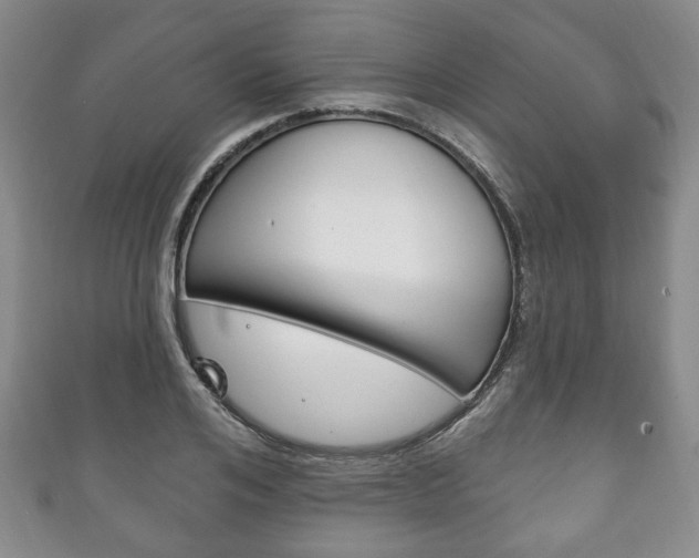 X0000111240984200907020955