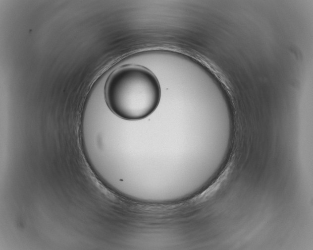 X0000111240985200907020955