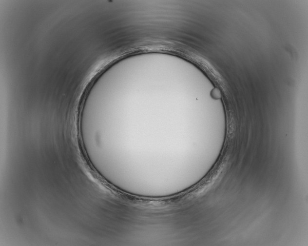 X0000111240986200907020955