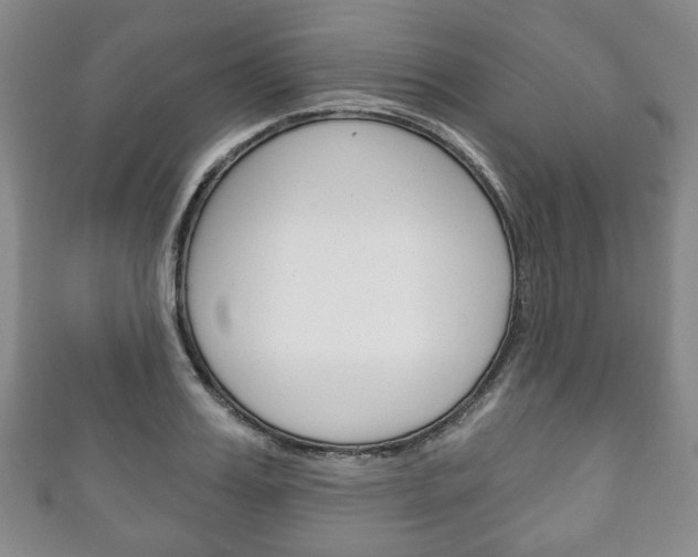 X0000111240987200907020955