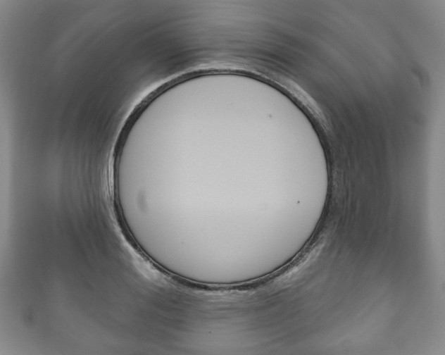 X0000111240988200907020955