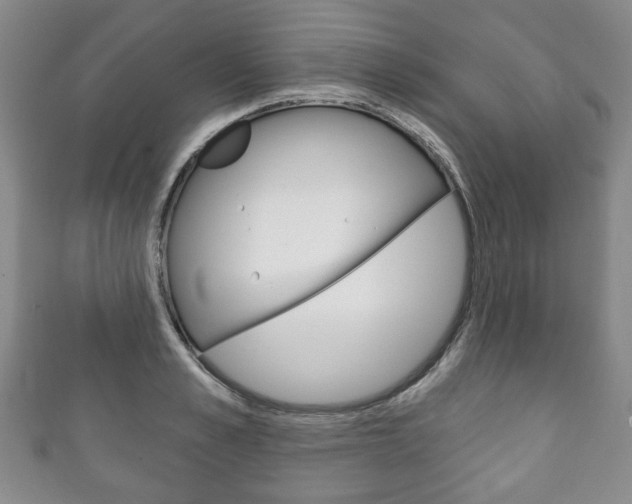 X0000111240989200907020955