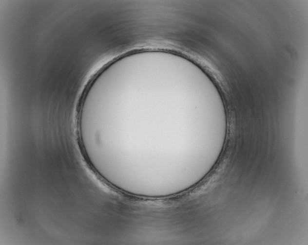X0000111240990200907020955