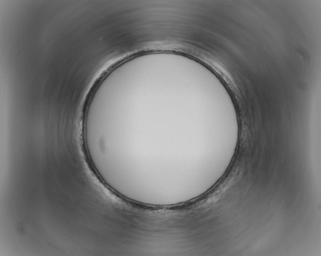X0000111240992200907020955