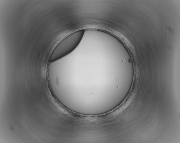 X0000111240993200907020955