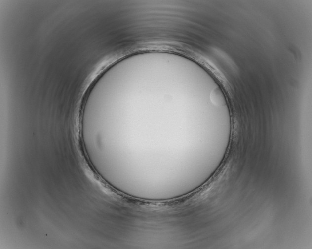 X0000111240994200907020955