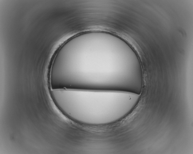 X0000111240995200907020955