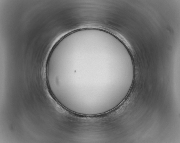 X0000111240996200907020955