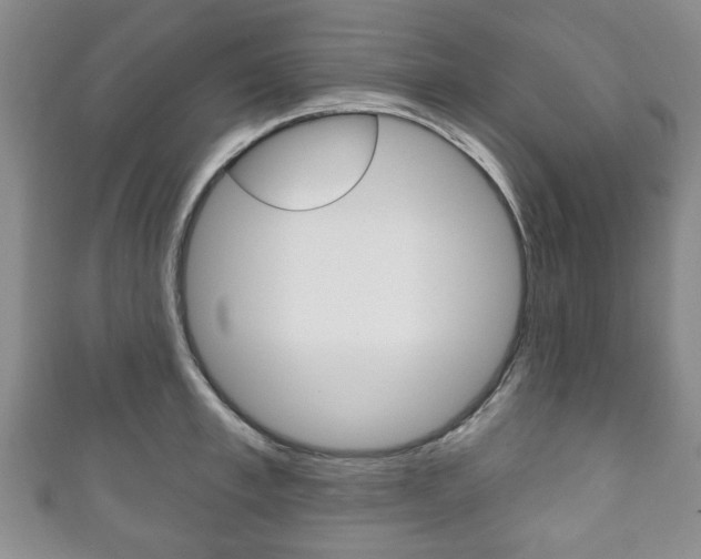 X0000111240997200907020955