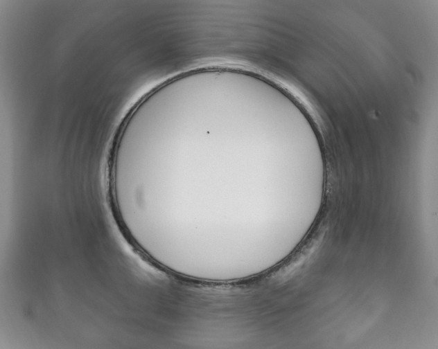 X0000111240999200907020955