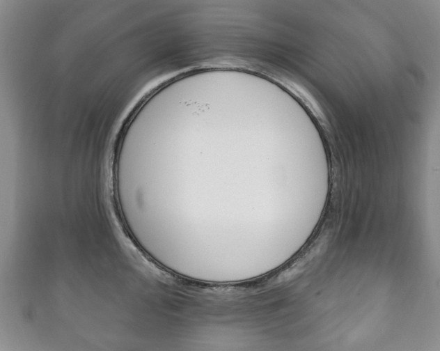 X0000111241000200907020955