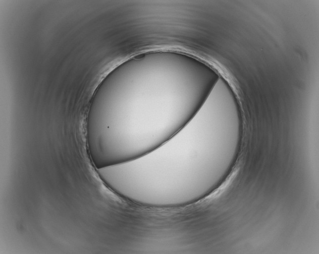 X0000111241001200907020955