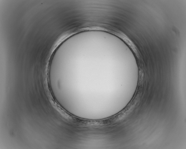 X0000111241002200907020955