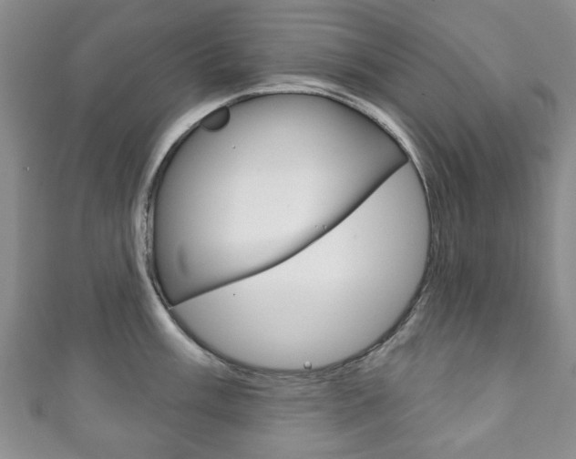 X0000111241003200907020955